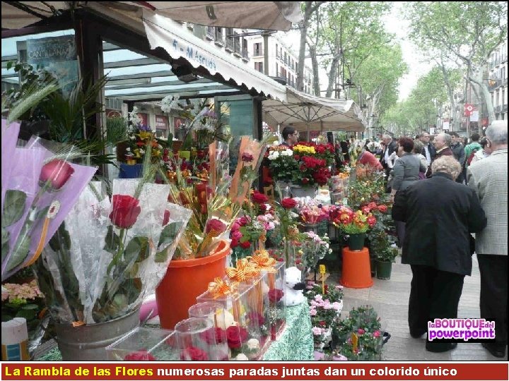 La Rambla de las Flores numerosas paradas juntas dan un colorido único 