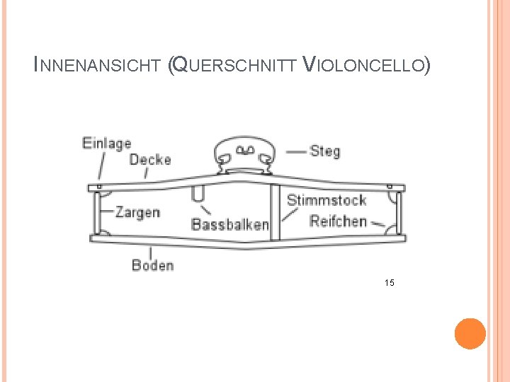 INNENANSICHT (QUERSCHNITT VIOLONCELLO) 15 