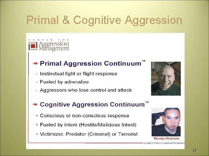 Primal & Cognitive Aggression 17 