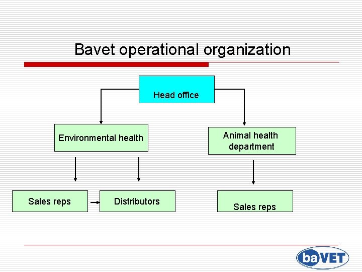 Bavet operational organization Head office Environmental health Animal health department Sales reps Distributors Sales