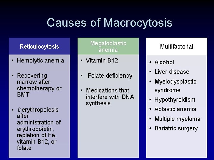 Causes of Macrocytosis Reticulocytosis Megaloblastic anemia • Hemolytic anemia • Vitamin B 12 •