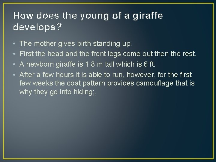 How does the young of a giraffe develops? • • The mother gives birth