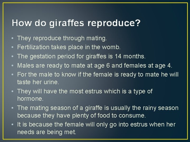 How do giraffes reproduce? • • • They reproduce through mating. Fertilization takes place