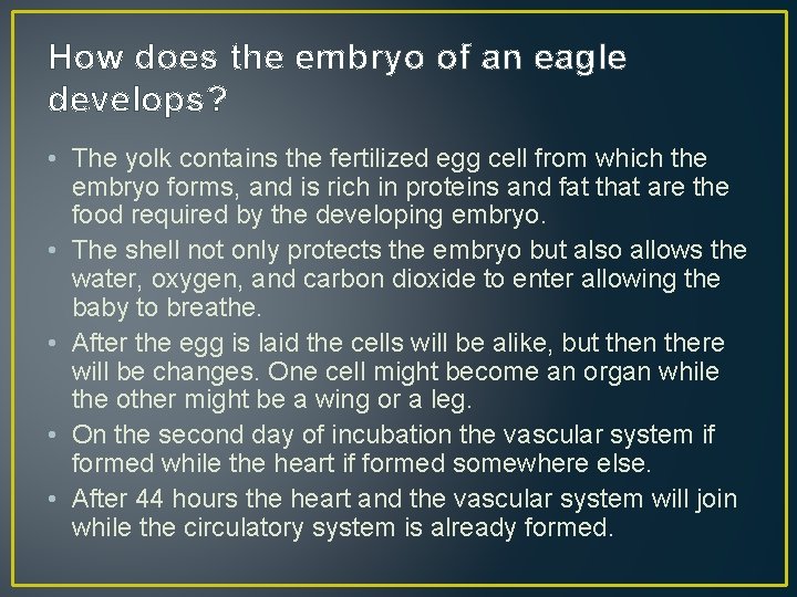 How does the embryo of an eagle develops? • The yolk contains the fertilized
