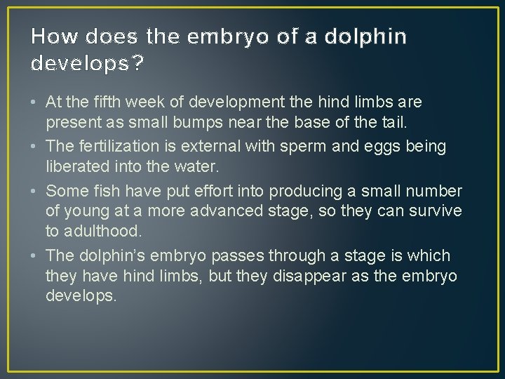 How does the embryo of a dolphin develops? • At the fifth week of