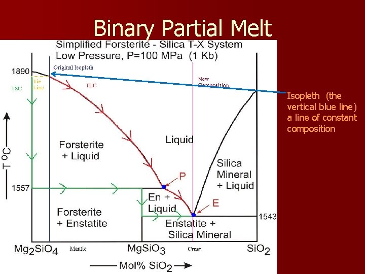 Binary Partial Melt Isopleth (the vertical blue line) a line of constant composition 