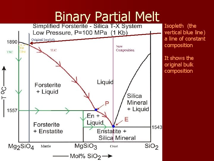 Binary Partial Melt Isopleth (the vertical blue line) a line of constant composition It
