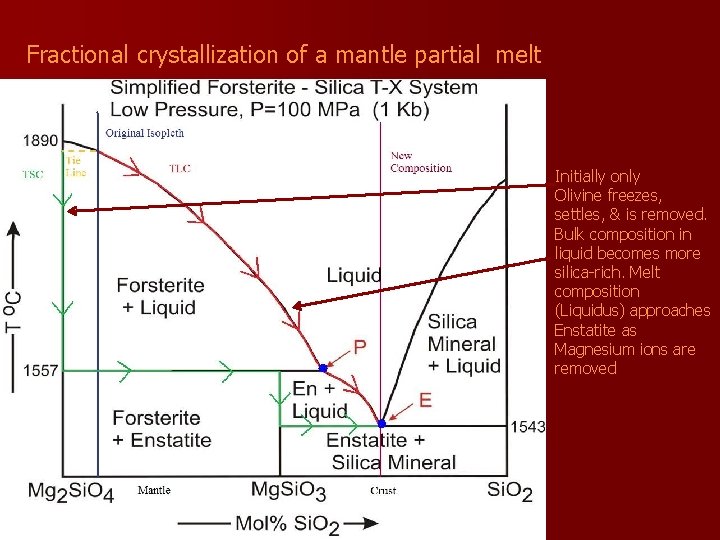 Fractional crystallization of a mantle partial melt Initially only Olivine freezes, settles, & is