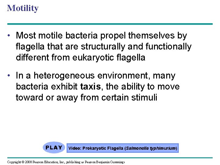 Motility • Most motile bacteria propel themselves by flagella that are structurally and functionally