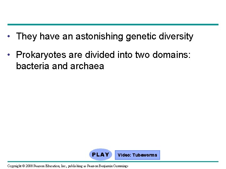  • They have an astonishing genetic diversity • Prokaryotes are divided into two