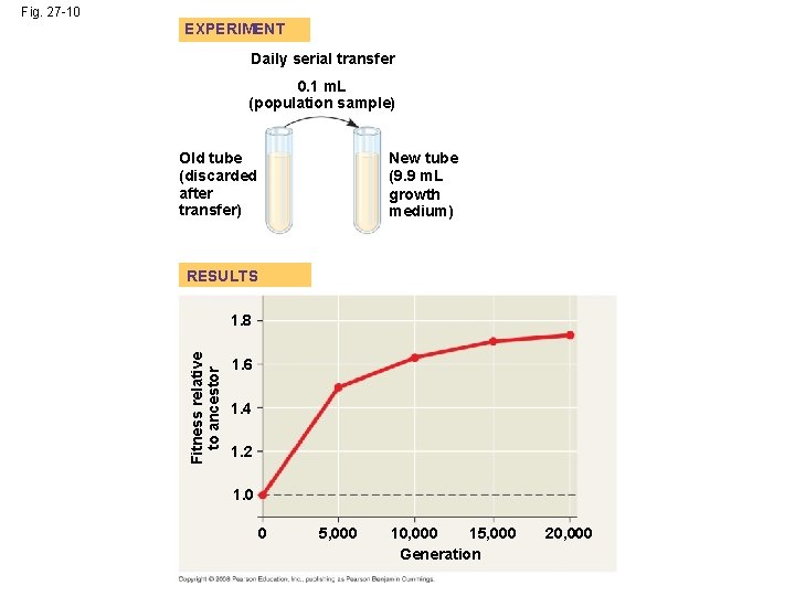 Fig. 27 -10 EXPERIMENT Daily serial transfer 0. 1 m. L (population sample) New