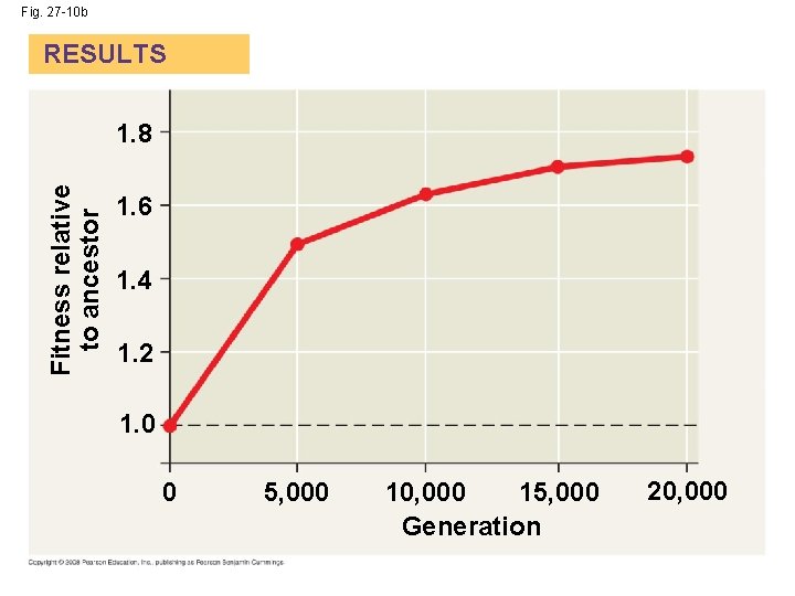 Fig. 27 -10 b RESULTS Fitness relative to ancestor 1. 8 1. 6 1.