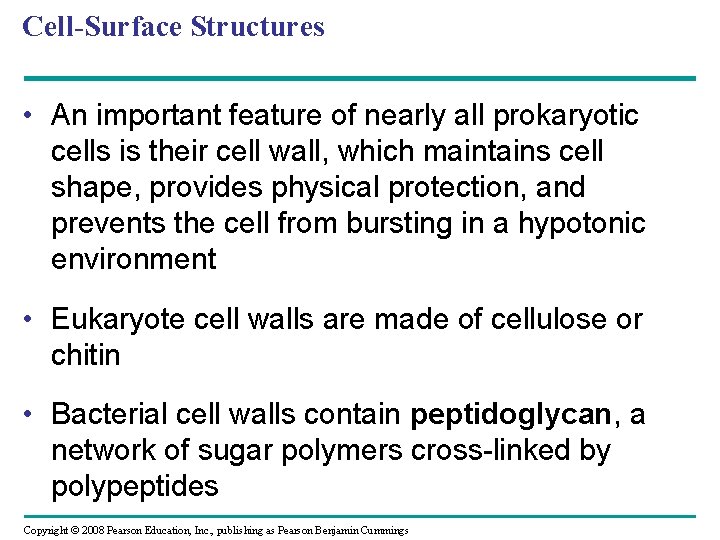 Cell-Surface Structures • An important feature of nearly all prokaryotic cells is their cell