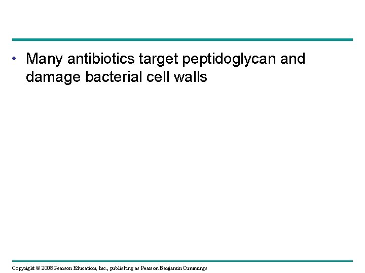  • Many antibiotics target peptidoglycan and damage bacterial cell walls Copyright © 2008