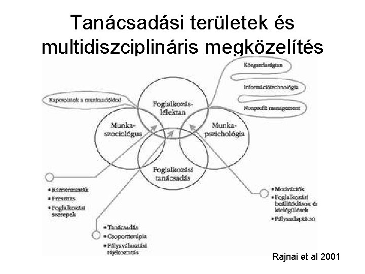 Tanácsadási területek és multidiszciplináris megközelítés Rajnai et al 2001 