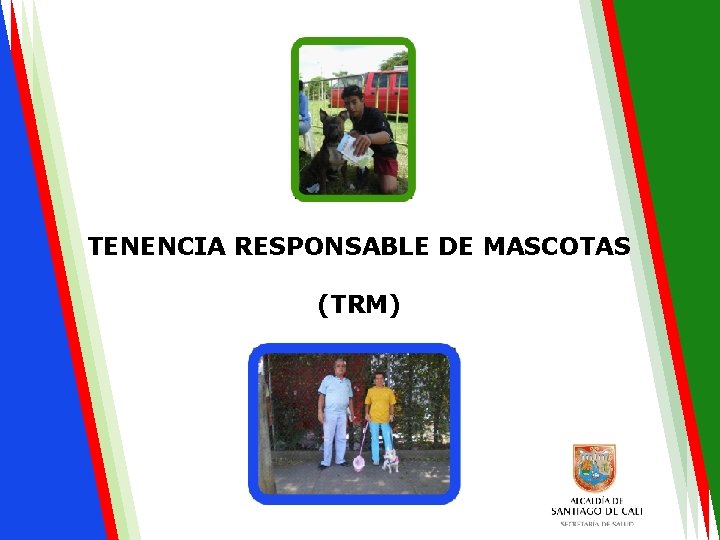 TENENCIA RESPONSABLE DE MASCOTAS (TRM) 