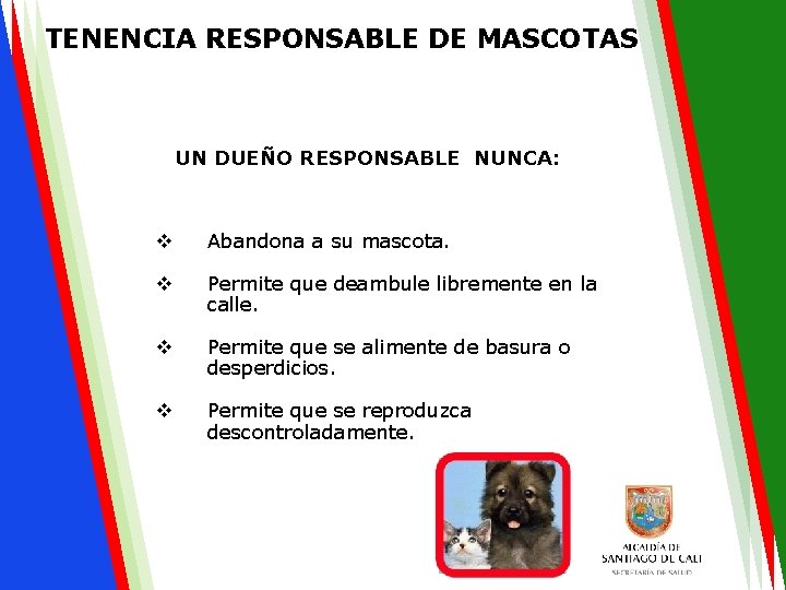 TENENCIA RESPONSABLE DE MASCOTAS UN DUEÑO RESPONSABLE NUNCA: v Abandona a su mascota. v