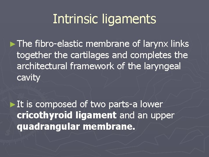 Intrinsic ligaments ► The fibro-elastic membrane of larynx links together the cartilages and completes