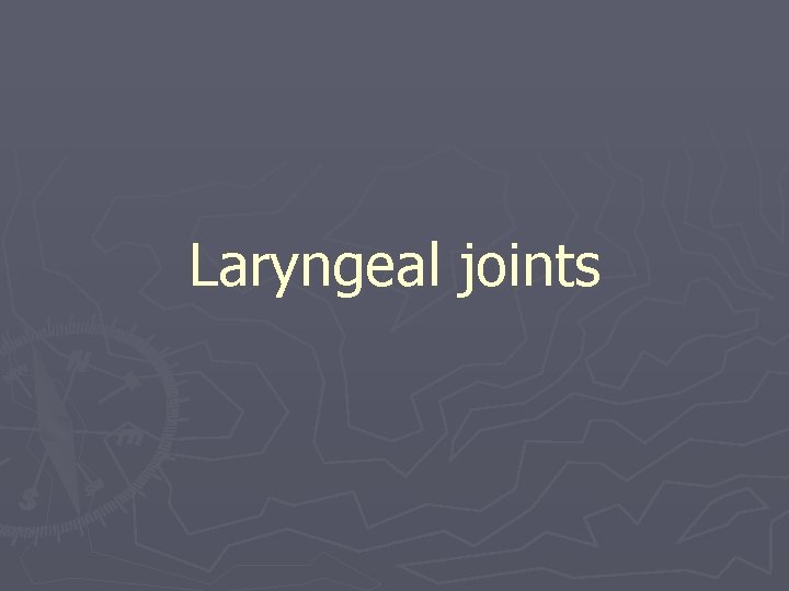 Laryngeal joints 