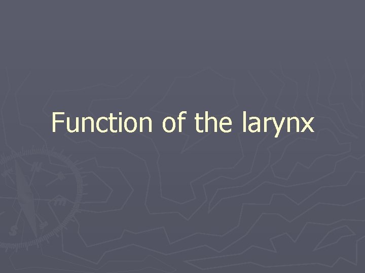 Function of the larynx 