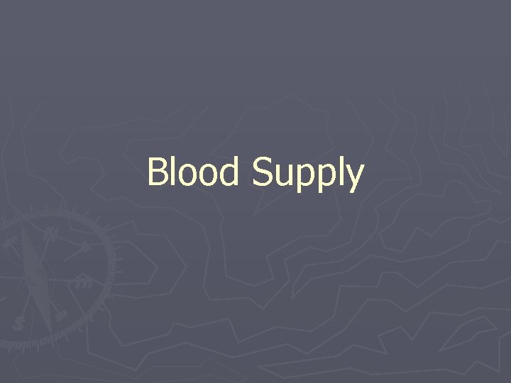 Blood Supply Blood Supply