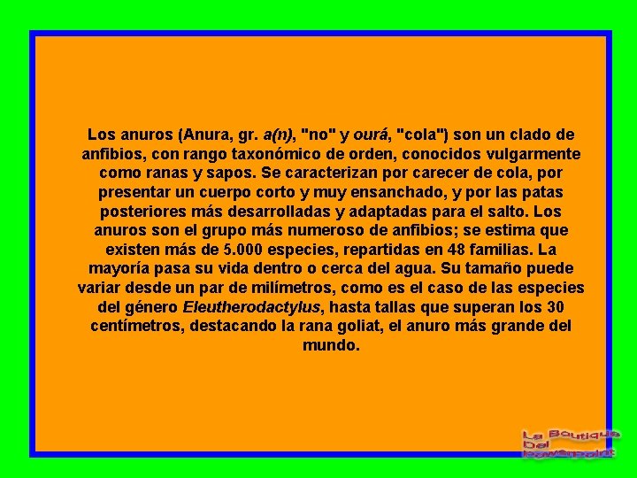 Los anuros (Anura, gr. a(n), "no" y ourá, "cola") son un clado de anfibios,