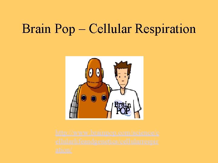Brain Pop – Cellular Respiration http: //www. brainpop. com/science/c ellularlifeandgenetics/cellularrespir ation/ 
