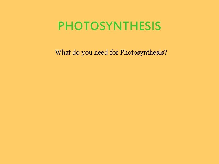 PHOTOSYNTHESIS What do you need for Photosynthesis? 