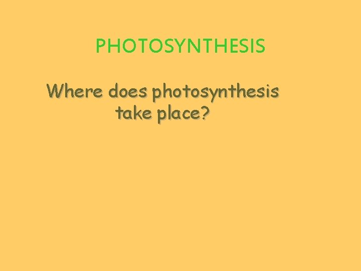 PHOTOSYNTHESIS Where does photosynthesis take place? 