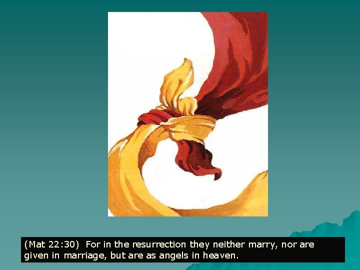 (Mat 22: 30) For in the resurrection they neither marry, nor are given in