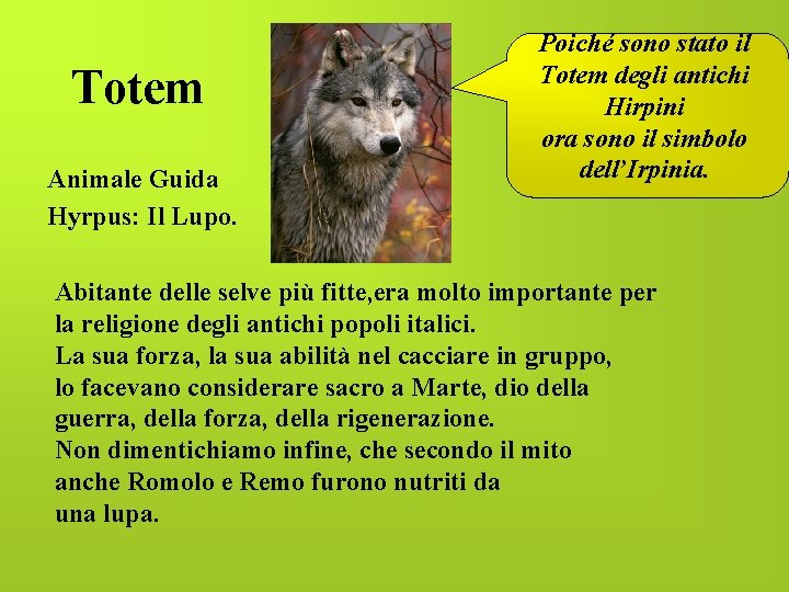 Totem Animale Guida Hyrpus: Il Lupo. Poiché sono stato il Totem degli antichi Hirpini