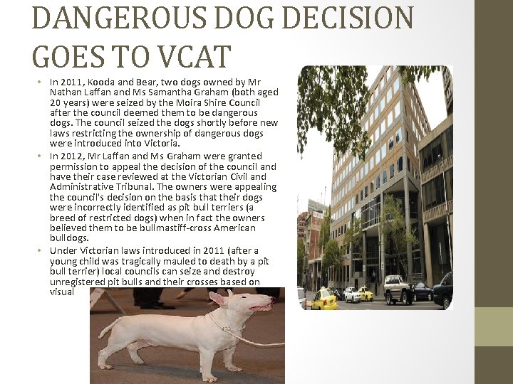 DANGEROUS DOG DECISION GOES TO VCAT • In 2011, Kooda and Bear, two dogs