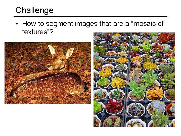 Challenge • How to segment images that are a “mosaic of textures”? 