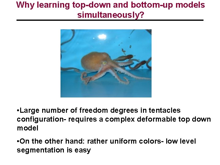 Why learning top-down and bottom-up models simultaneously? • Large number of freedom degrees in