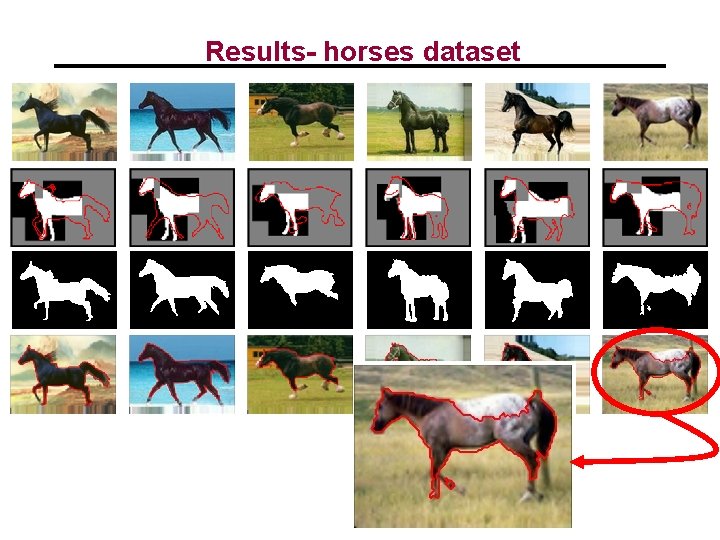 Results- horses dataset 