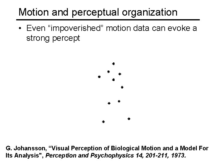 Motion and perceptual organization • Even “impoverished” motion data can evoke a strong percept