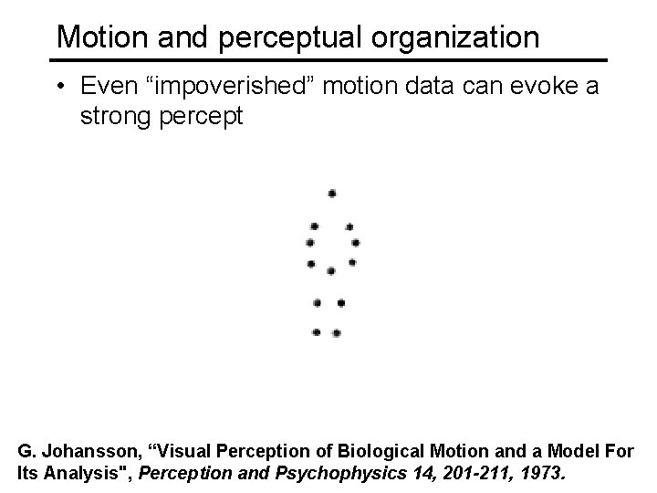 Motion and perceptual organization • Even “impoverished” motion data can evoke a strong percept