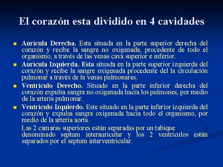 El corazón esta dividido en 4 cavidades n n Aurícula Derecha. Esta situada en