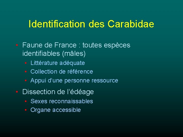 Identification des Carabidae • Faune de France : toutes espèces identifiables (mâles) • Littérature