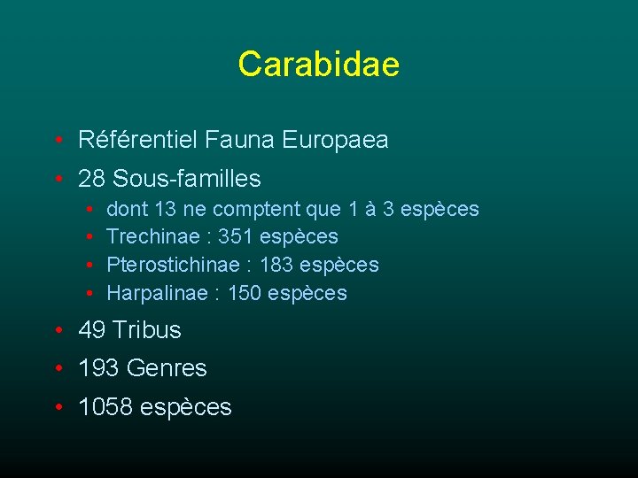 Carabidae • Référentiel Fauna Europaea • 28 Sous-familles • • dont 13 ne comptent