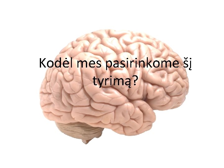 Kodėl mes pasirinkome šį tyrimą? 