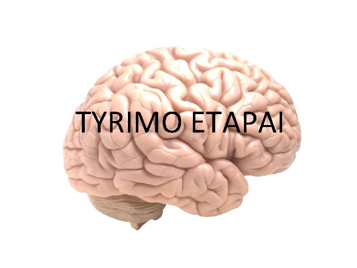 TYRIMO ETAPAI 