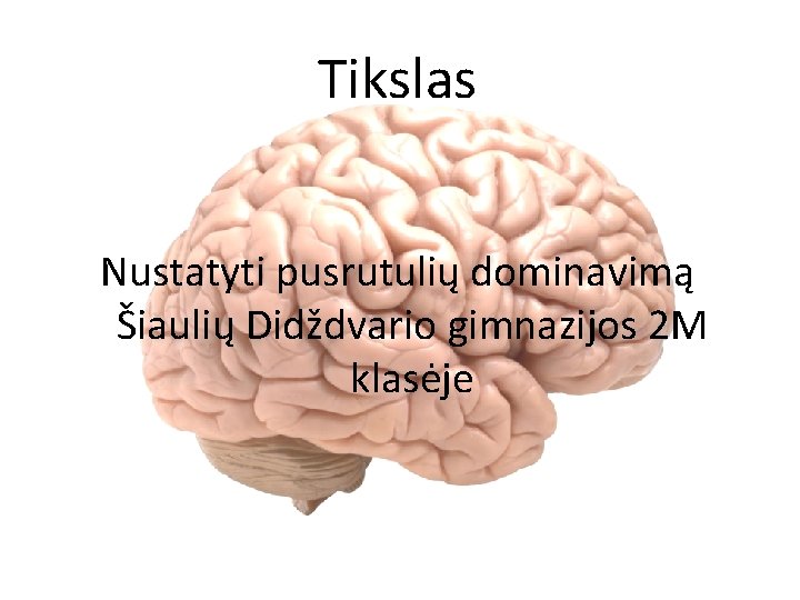 Tikslas Nustatyti pusrutulių dominavimą Šiaulių Didždvario gimnazijos 2 M klasėje 