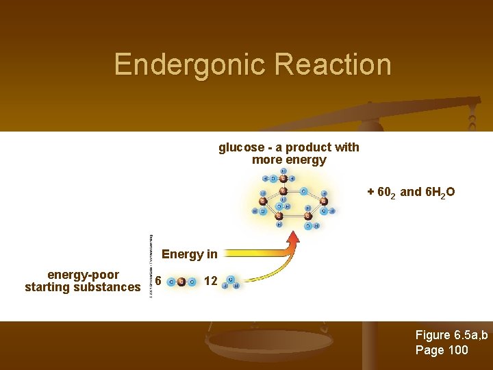 Endergonic Reaction glucose - a product with more energy + 602 and 6 H