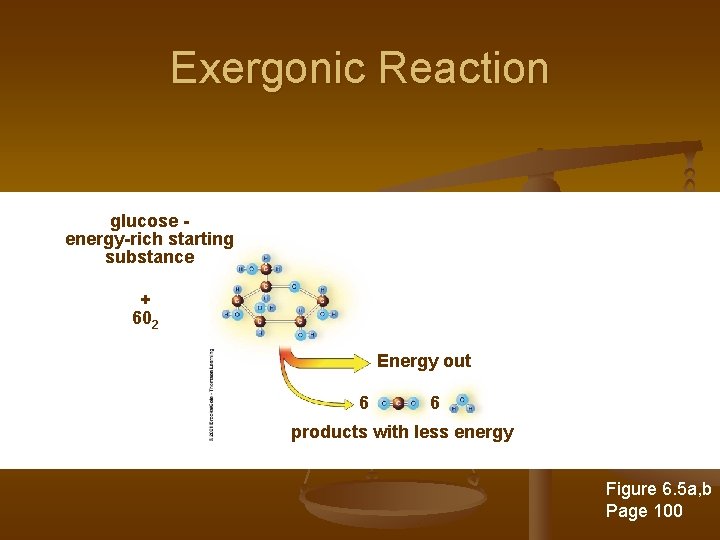 Exergonic Reaction glucose energy-rich starting substance + 602 Energy out 6 6 products with