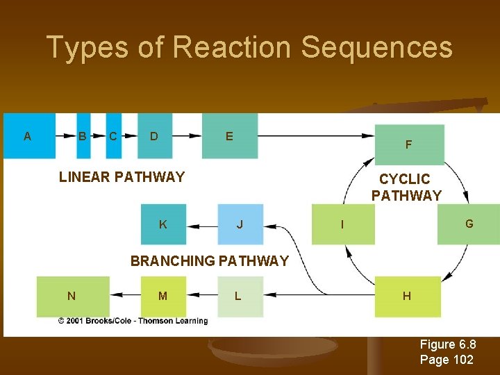 Types of Reaction Sequences A B C D E F LINEAR PATHWAY K CYCLIC