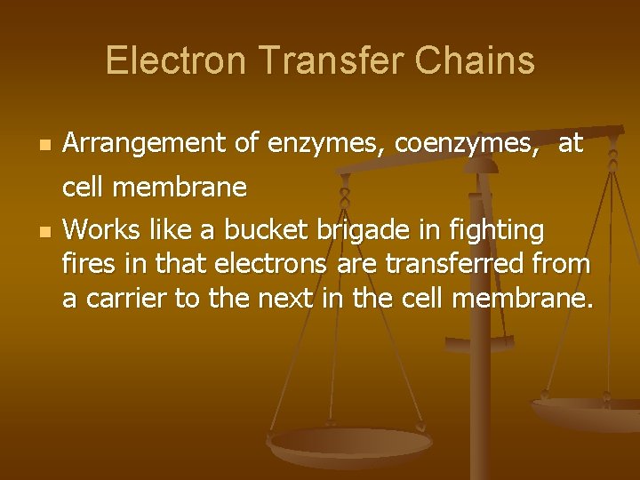 Electron Transfer Chains n Arrangement of enzymes, coenzymes, at n cell membrane Works like