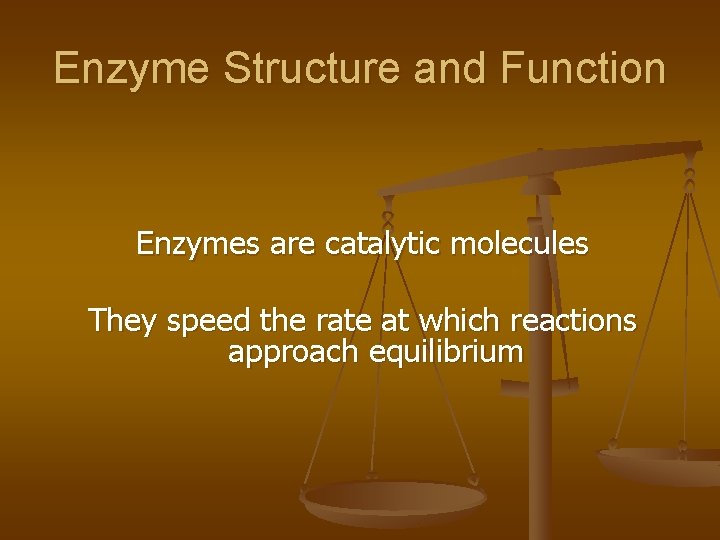 Enzyme Structure and Function Enzymes are catalytic molecules They speed the rate at which