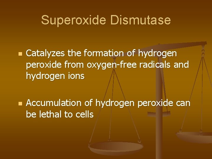 Superoxide Dismutase n n Catalyzes the formation of hydrogen peroxide from oxygen-free radicals and