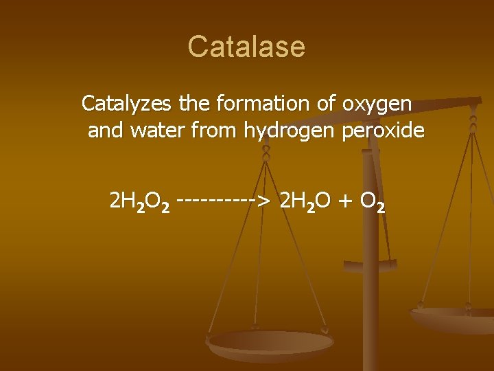 Catalase Catalyzes the formation of oxygen and water from hydrogen peroxide 2 H 2